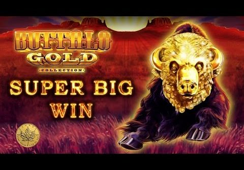 *SUPER BIG WIN* in a retrigger city of Buffalo Gold – Slot Machine Bonus