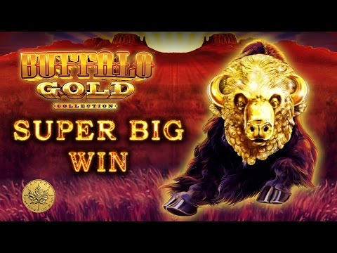 *SUPER BIG WIN* in a retrigger city of Buffalo Gold – Slot Machine Bonus