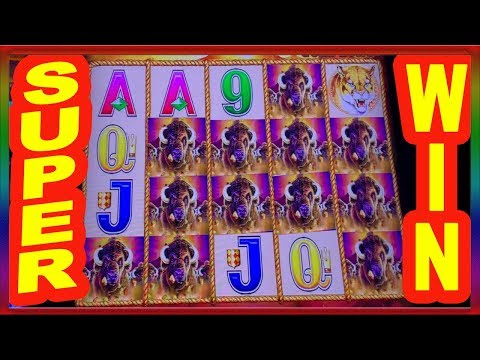 ** SUPER BIG WIN  ** BACK TO BACK GREAT HITS ON BUFFALO GOLD ** SLOT LOVER **