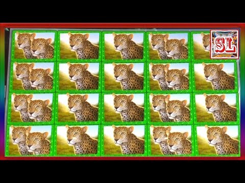 ** BETTER THAN JACKPOT HANDPAY ** MEGA WIN ** BIG 5 SAFARI ** SLOT LOVER **