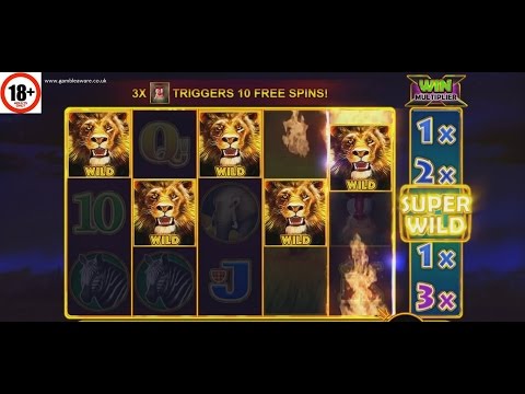 Hot Safari slot | ALL FEATURES + BIG WIN | Pragmatic Play