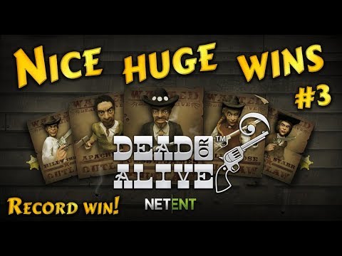 Nice huge wins on Dead or Alive slot #3, record win! Netent
