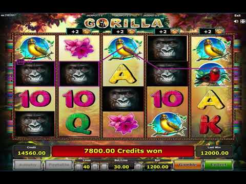 Mega Win On The Free Spin Slot Machine Gorilla By Novomatic