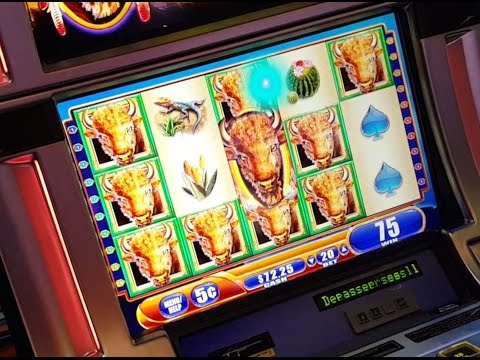 $$ MEGA BIG WIN $$ – Buffalo Spirit – rare wild Big Win slot machine bonus – 5c denom