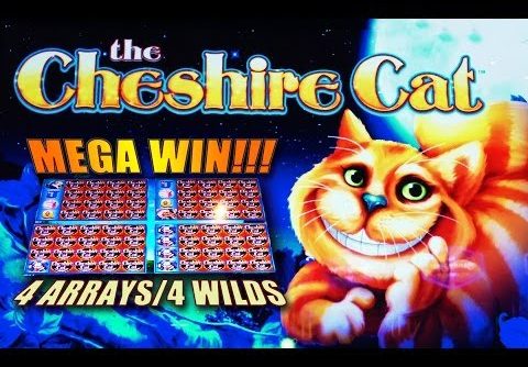 The Cheshire Cat – *MEGA WIN* 4 ARRAYS/4WILDS – Slot Machine Bonus