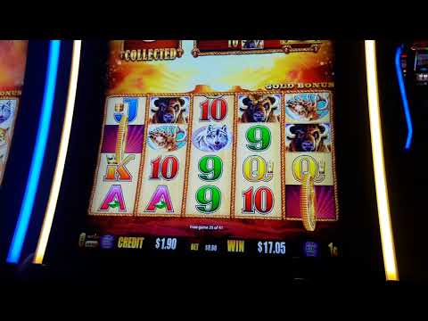 Buffalo slot  huge win at Lake Charles