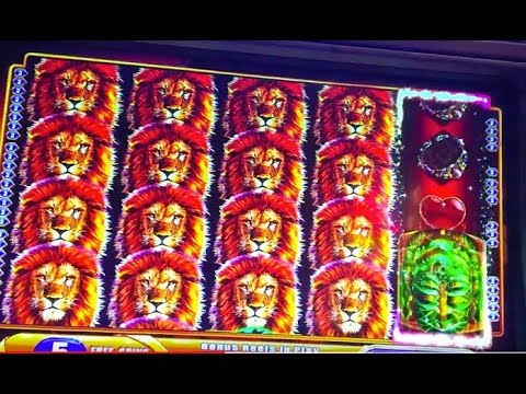 King of Africa -Super Big Win -Bonus!!!🦁