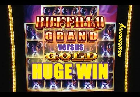 Hændelse, begivenhed udsættelse lette BUFFALO GRAND vs. BUFFALO GOLD SLOT – HUGE WIN!!! – Slot Machine Bonus |  Mega Wins Club