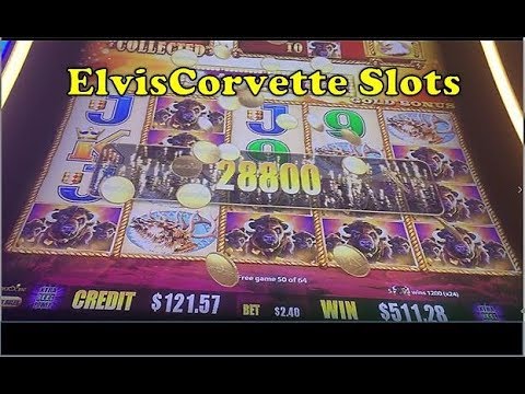 Buffalo Gold | Mega Big Win | Thanks To Tito’s Slots Videos