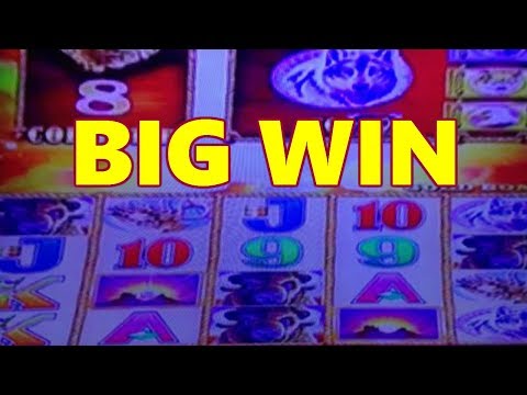 🎰 *Big Win*  *Buffalo Gold *Bouses, Line Hits