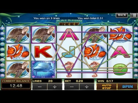 BIG WIN with DOLPHIN REEF Online Slot Game | SCR888 Online Casino Malaysia | BigChoySun