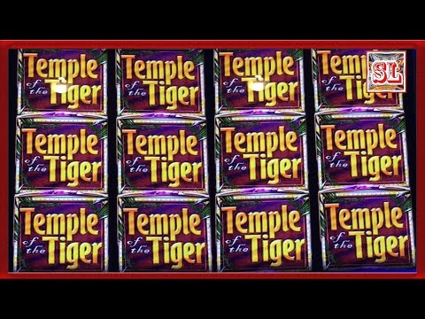 ** SUPER BIG WIN ** Temple Tiger n others ** SLOT LOVER **