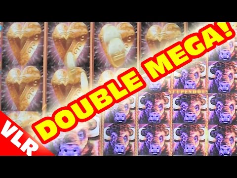 Heart of Gold & Buffalo Stampede – DOUBLE MEGA BIG WIN – Slot Machine Videos