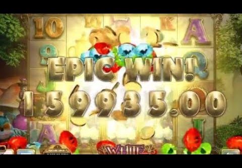 MUST SEE!!! TOP 3 HUGE WIN ON WHITE RABBIT SLOT – RECORD WIN 4036X !!!