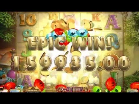 MUST SEE!!! TOP 3 HUGE WIN ON WHITE RABBIT SLOT – RECORD WIN 4036X !!!