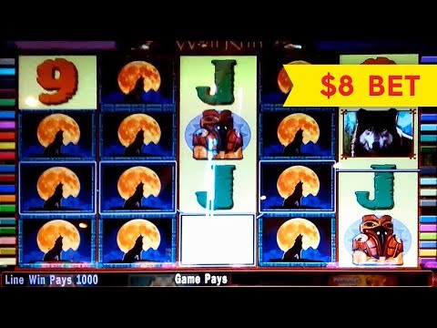 Wolf Run Slot – $8 Max Bet – BONUS & BIG WIN!