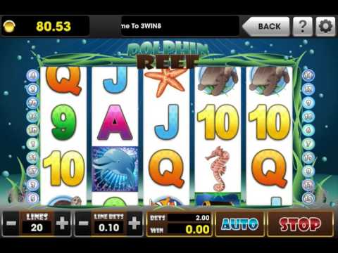 MEGA WIN wiht DOLPHIN REEF slot game | 3Win8 Casino | 3Win8 Mobile