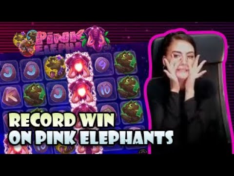 RECORD WIN ON PINK ELEPHANTS