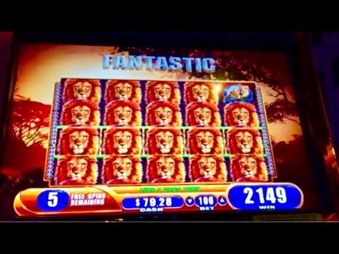 HUGE MEGA WIN BONUS!!! LIONS EVERYWHERE!!! KING OF AFRICA SLOT MACHINE!!!