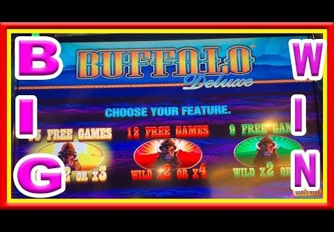 ** HOW MUCH DO YOU THINK I WON ON 58 FREE GAMES ON BUFFALO DELUXE ** SLOT LOVER **