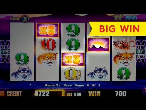 Wonder 4 Buffalo Slot – $8 Max Bet – HUGE BONUS WIN!