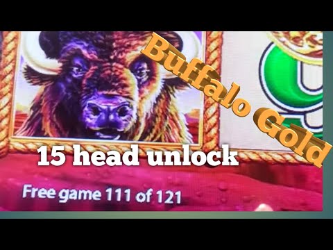 Slot machine-buffalo gold ,15 head unlock , big win , how sweet.