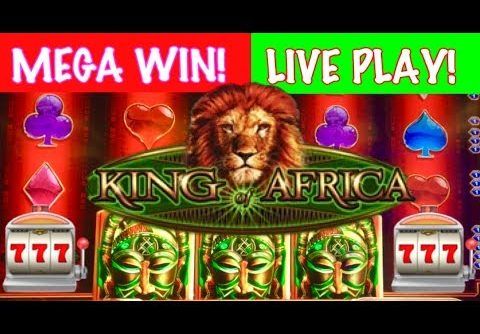 LIVE PLAY + MEGA WIN!!! King of Africa Slot Machine!!!