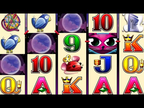 Miss Kitty slot – Big win!