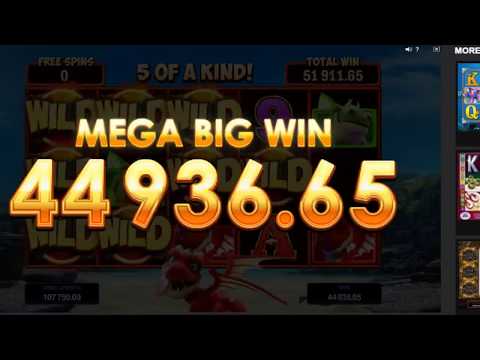 MEGA BIG WIN On Dragonz Slot Machine