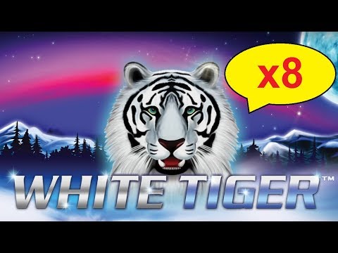 White Tiger Slot – 100x BIG WIN – x8 MULTIPLIER, YES!