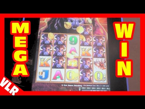 Buffalo Stampede – MEGA BIG WIN – Slot Machine Bonus