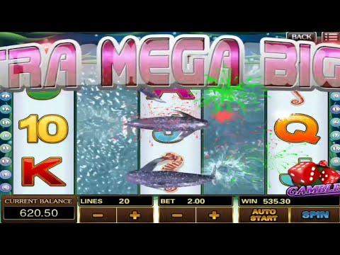 Casino slot wins videos