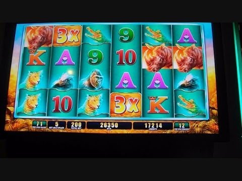 Raging Rhino Week – 1/3 – MAX BET & BIG WIN Slot Machine Bonus Round Free Games + MASSIVE RETRIGGERS