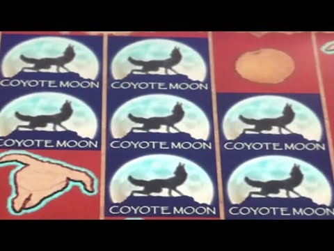 ** SUPER BIG WIN ** COYOTE MOON n others ** SLOT LOVER **