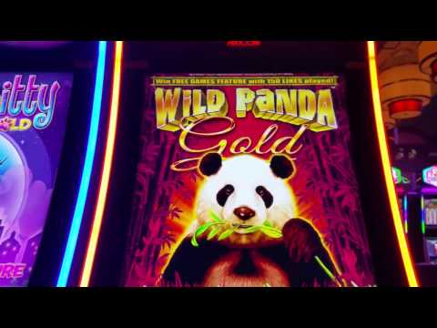 Wild Panda Gold Slot Machine Bonus on 1.80 with Big Win!