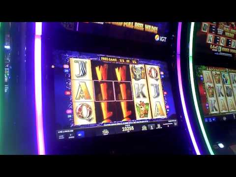 The Wild Life Slot Machine BIG WIN Bonus