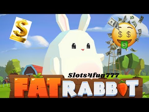 Insane win on Fat Rabbit (Push Gaming) Online Slot