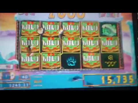 Treasure Ceremony Slot Machine Super Mega Big Win!!!