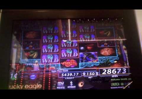 Day Of The Dead Slot Machine Super Huge Win Line Hit