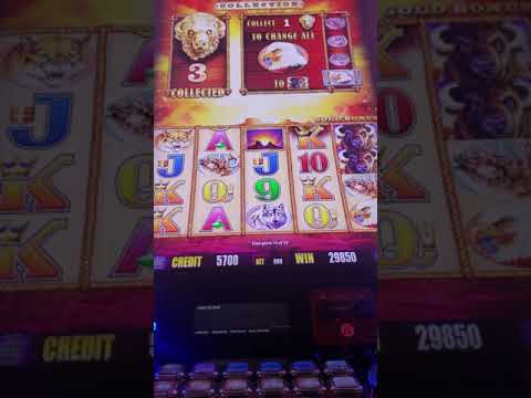 ☆AMAZING RUN☆ MY BIGGEST WIN ON BUFFALO GOLD | SLOT TRAVELER!