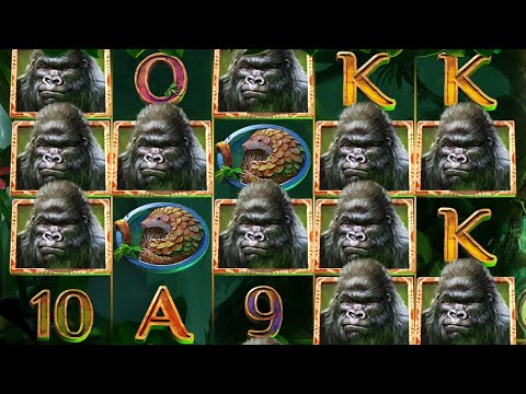 👑 Gorilla Kingdom Big Win Bonus 💰 A Slot By Netent.