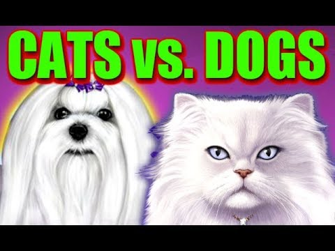 **SUPER BIG WINS CATS VS DOGS** SLOT MACHINE BONUS WINS #BAM!