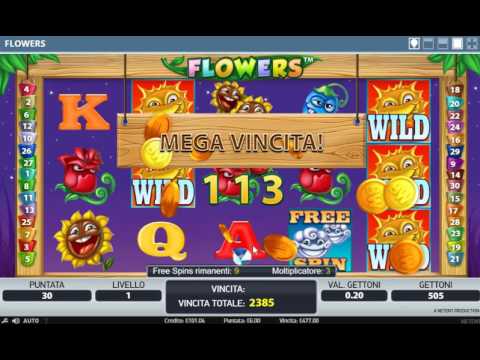 Flowers slot by NETENT Mega Big Win  6eur bet