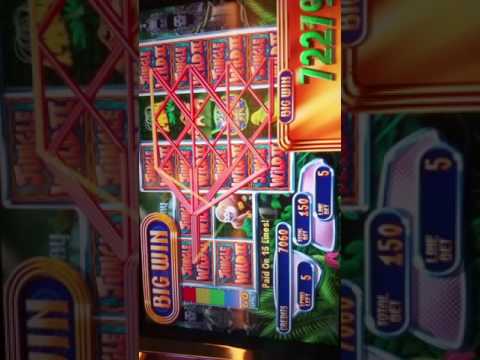 Jungle wild 2 slot machine 20 spin big win bonus