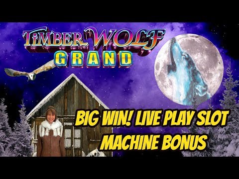 TIMBER WOLF BIG WIN SLOT MACHINE BONUS