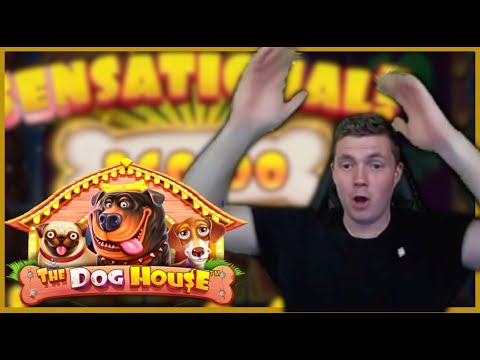 🐕 770x Dog House MEGA WIN ❗️ | Casino Twitch Stream Slotroom 24/7