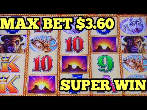 ***BUFFALO GOLD $3.60 SUPER BIG WIN*** MORE Big Win Bonus POMPEII | CATS HATS BATS | GOLDEN PRINCESS