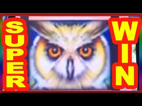 ** SUPER BIG WIN ** TIMBER WOLF n others ** SLOT LOVER **