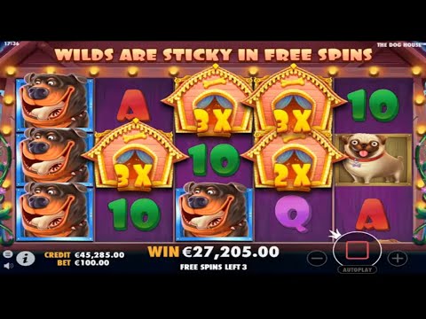 The Dog House  BIG WINS – Record win on slot  100.000£