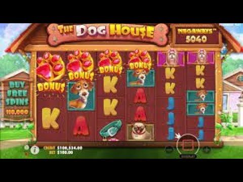 THE DOG   KÜÇÜK KASA BİG WİN   #slot #bigwin